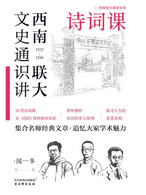 cover image of 诗词课